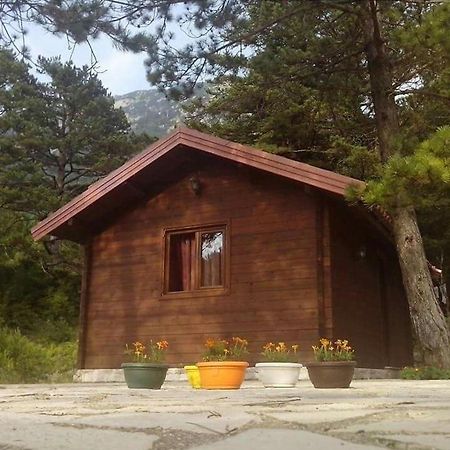 Iliria Tiny House Llogora Орікум Екстер'єр фото