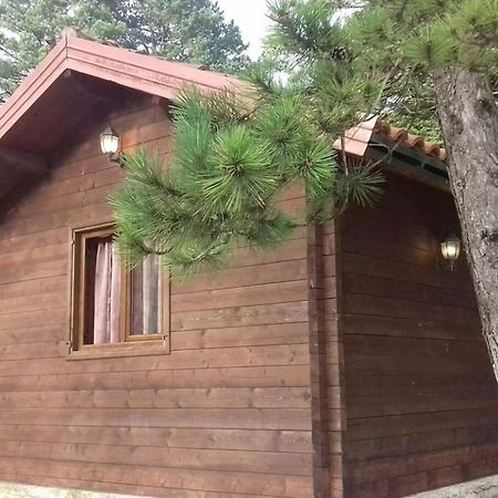 Iliria Tiny House Llogora Орікум Екстер'єр фото
