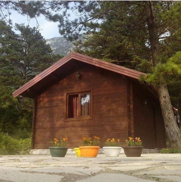Iliria Tiny House Llogora Орікум Екстер'єр фото